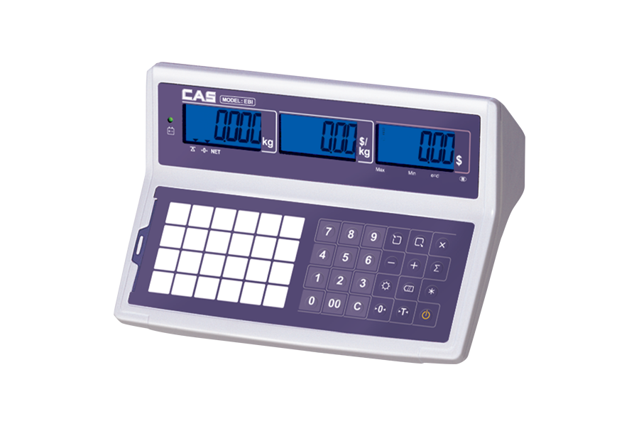 CAS EBI